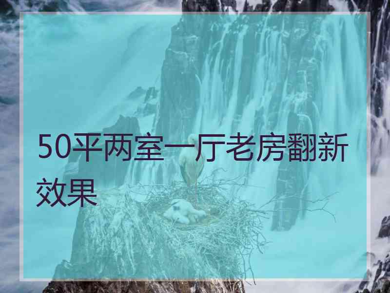 50平两室一厅老房翻新效果