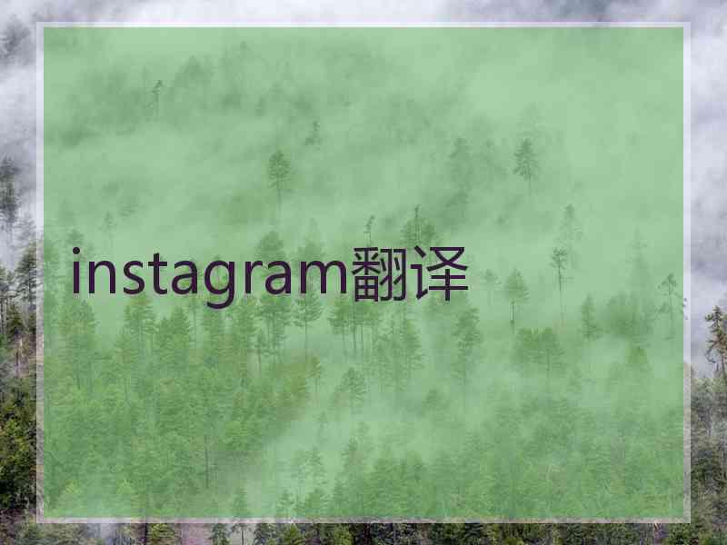 instagram翻译