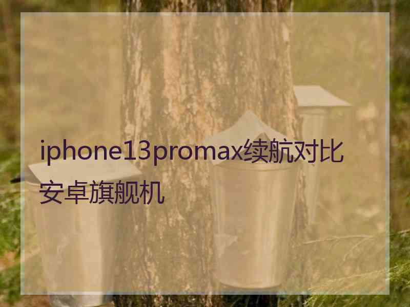 iphone13promax续航对比安卓旗舰机