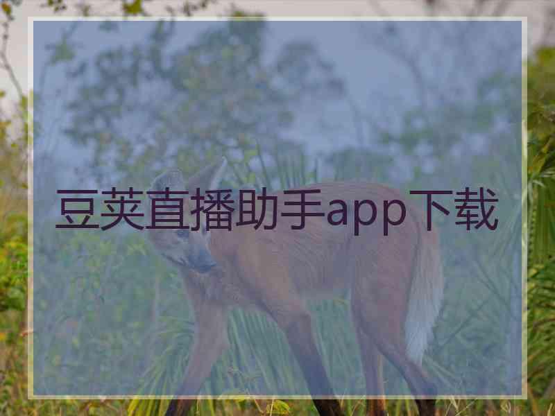 豆荚直播助手app下载