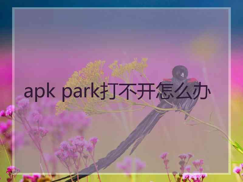 apk park打不开怎么办