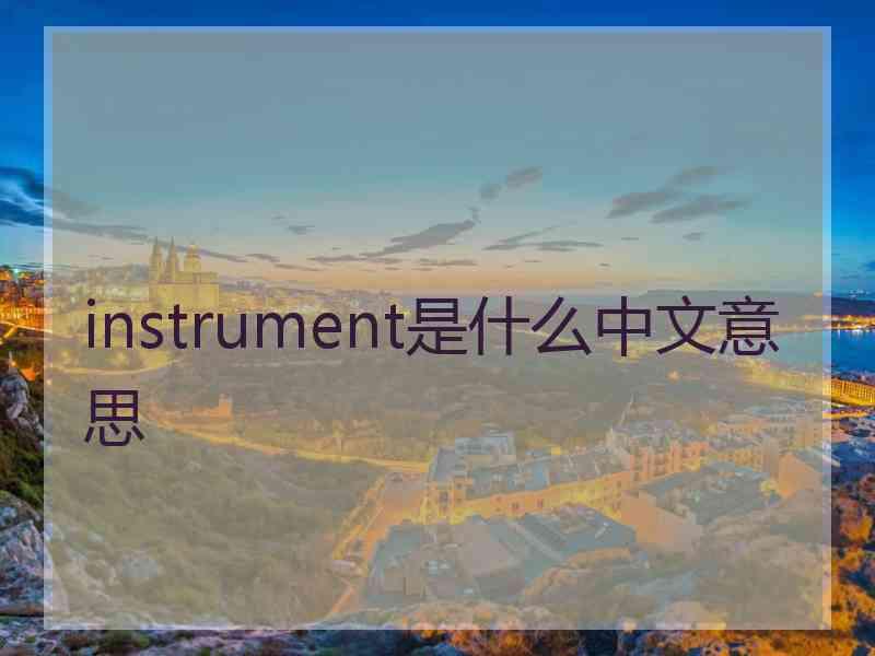 instrument是什么中文意思