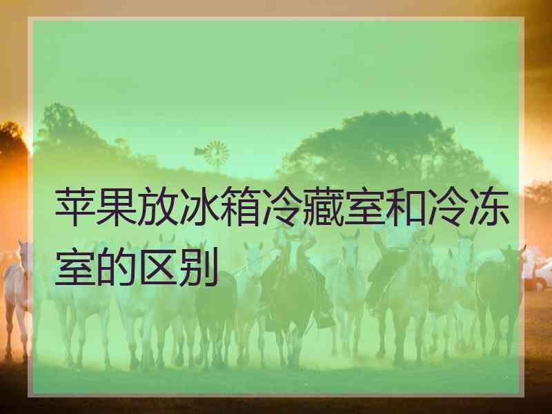 苹果放冰箱冷藏室和冷冻室的区别