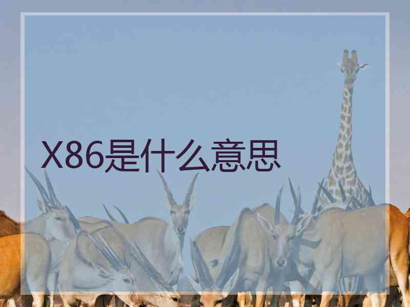 X86是什么意思