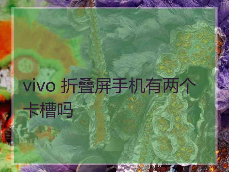 vivo 折叠屏手机有两个卡槽吗