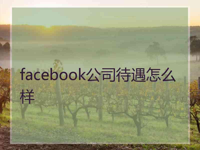 facebook公司待遇怎么样