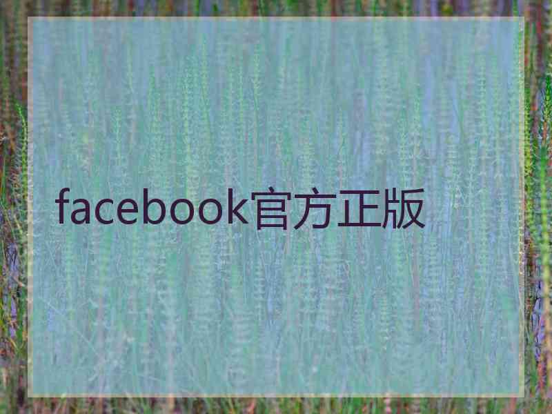 facebook官方正版