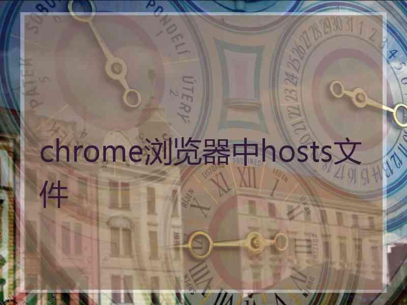 chrome浏览器中hosts文件