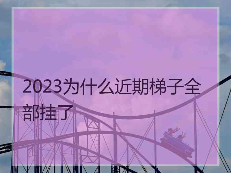 2023为什么近期梯子全部挂了