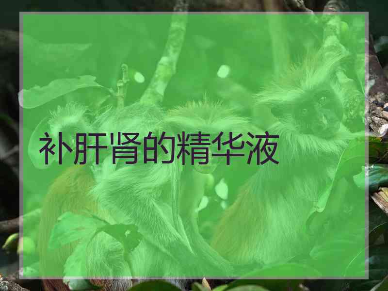 补肝肾的精华液