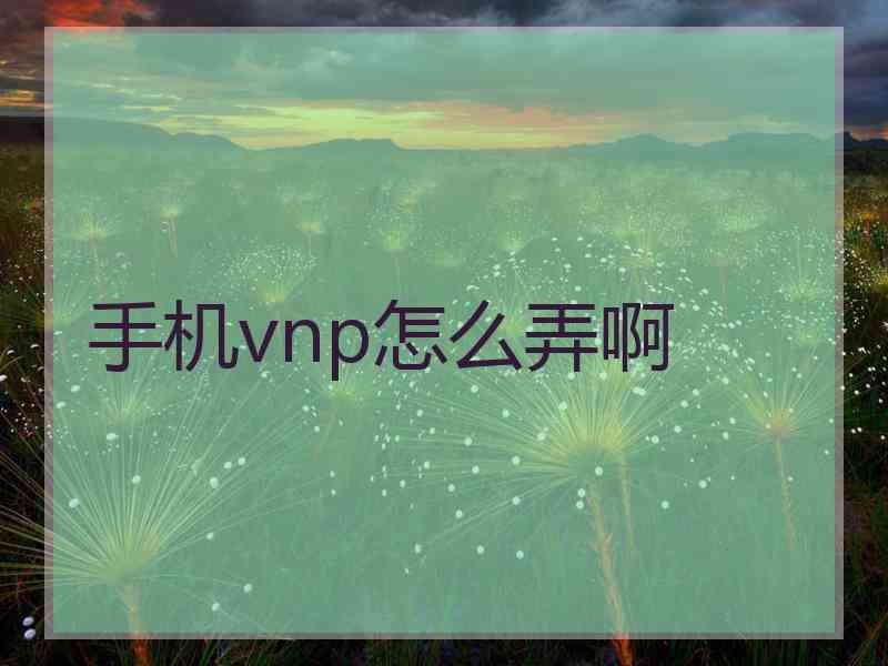 手机vnp怎么弄啊