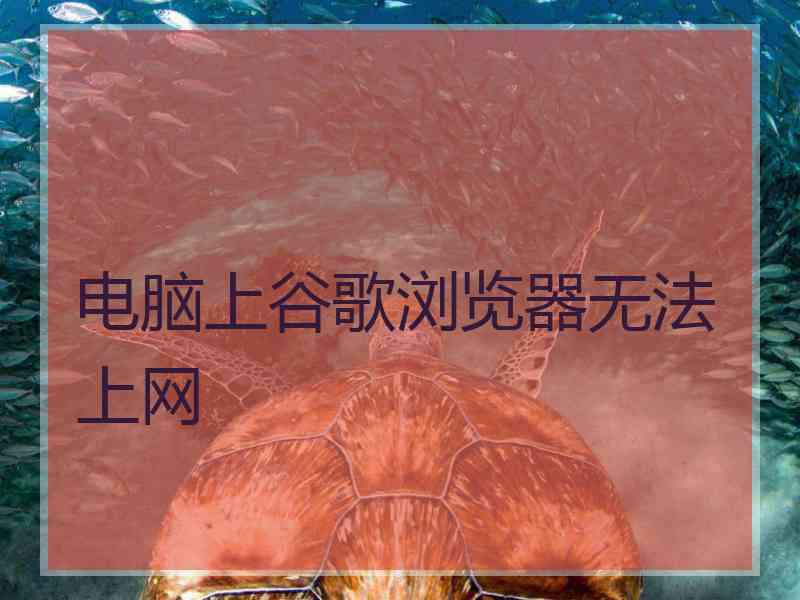 电脑上谷歌浏览器无法上网