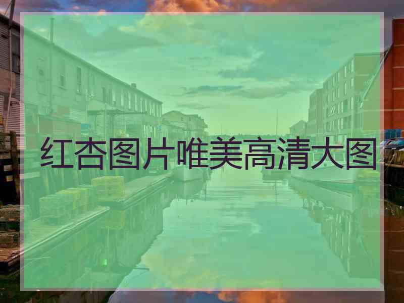 红杏图片唯美高清大图