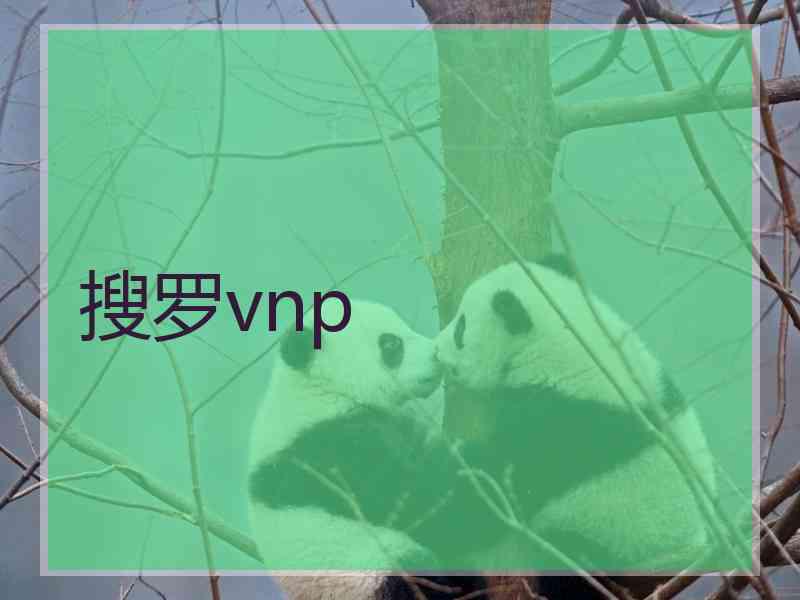 搜罗vnp