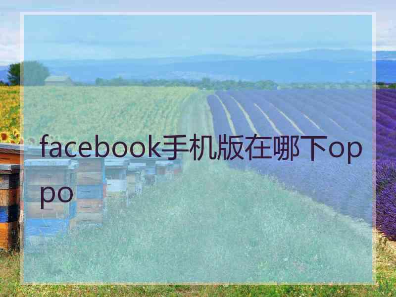 facebook手机版在哪下oppo