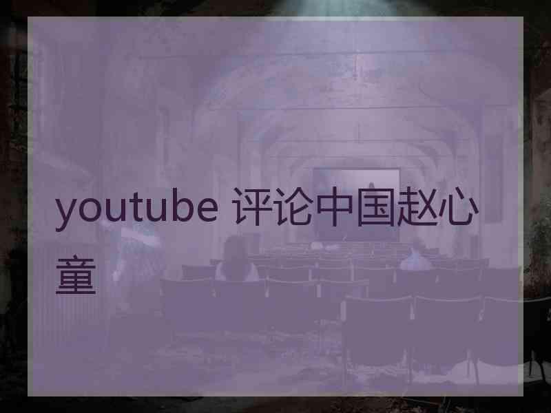 youtube 评论中国赵心童