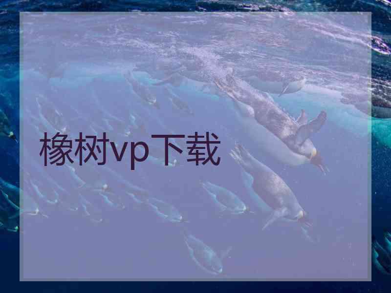 橡树vp下载