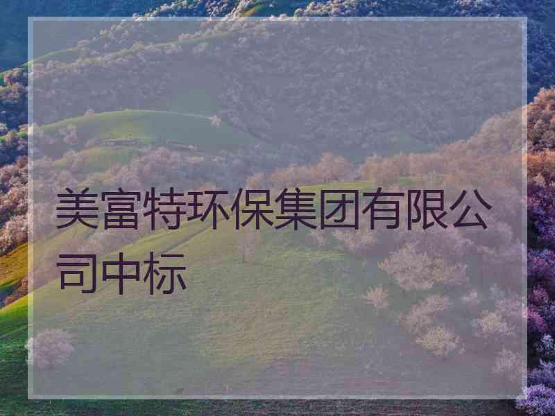 美富特环保集团有限公司中标