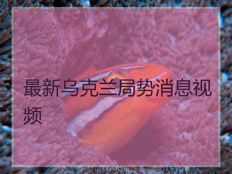 最新乌克兰局势消息视频