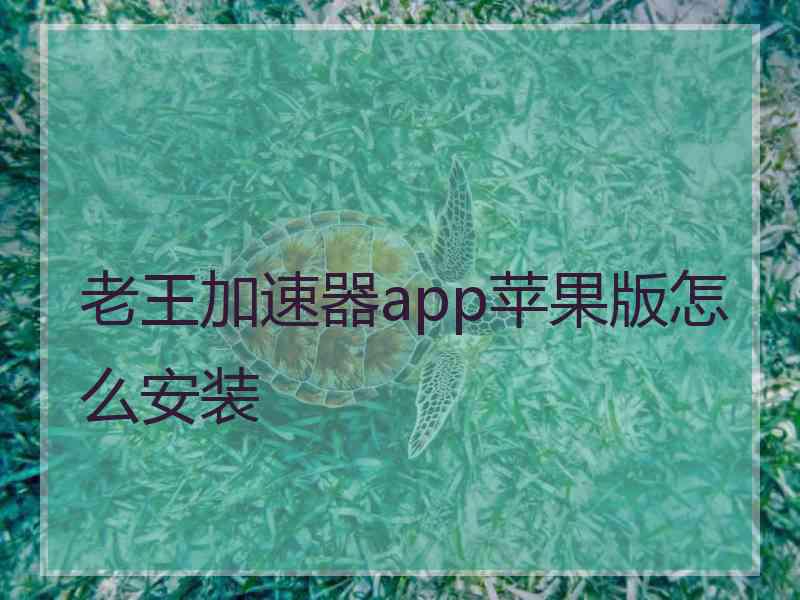 老王加速器app苹果版怎么安装