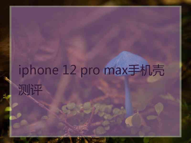 iphone 12 pro max手机壳测评