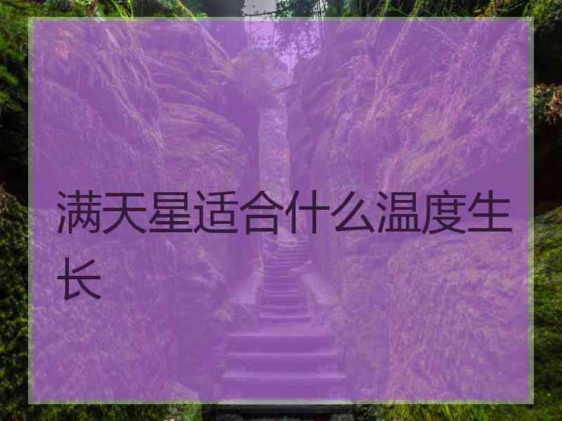 满天星适合什么温度生长