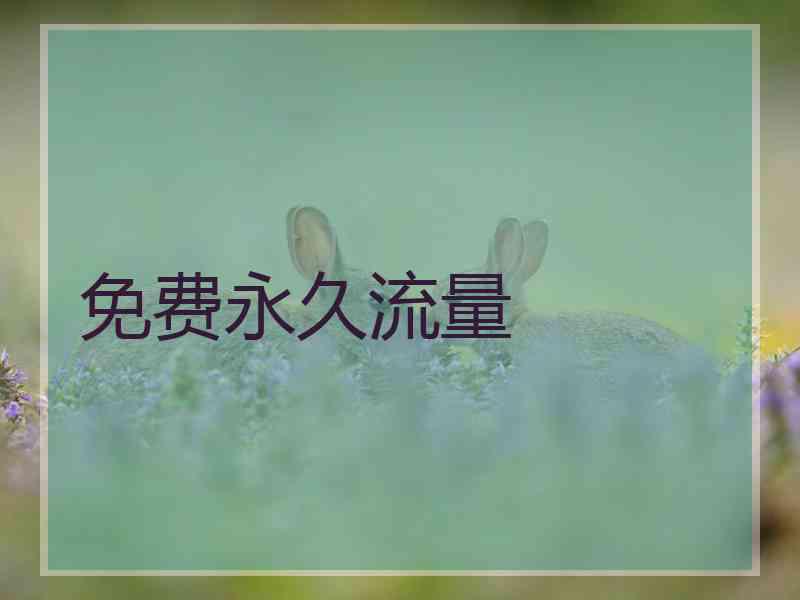 免费永久流量