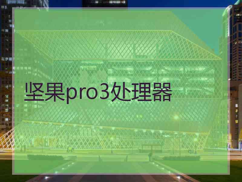 坚果pro3处理器