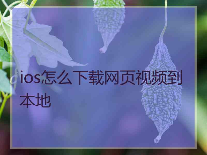 ios怎么下载网页视频到本地