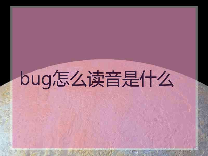 bug怎么读音是什么