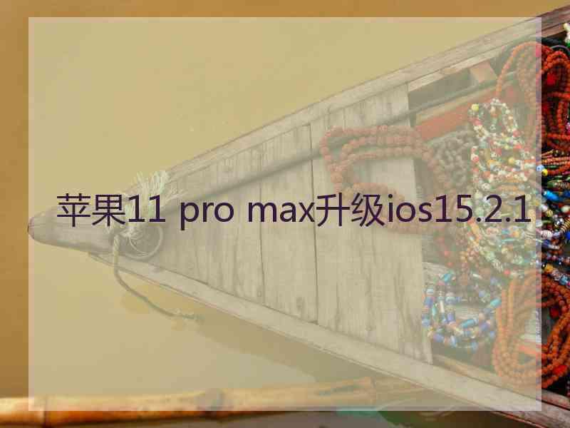 苹果11 pro max升级ios15.2.1