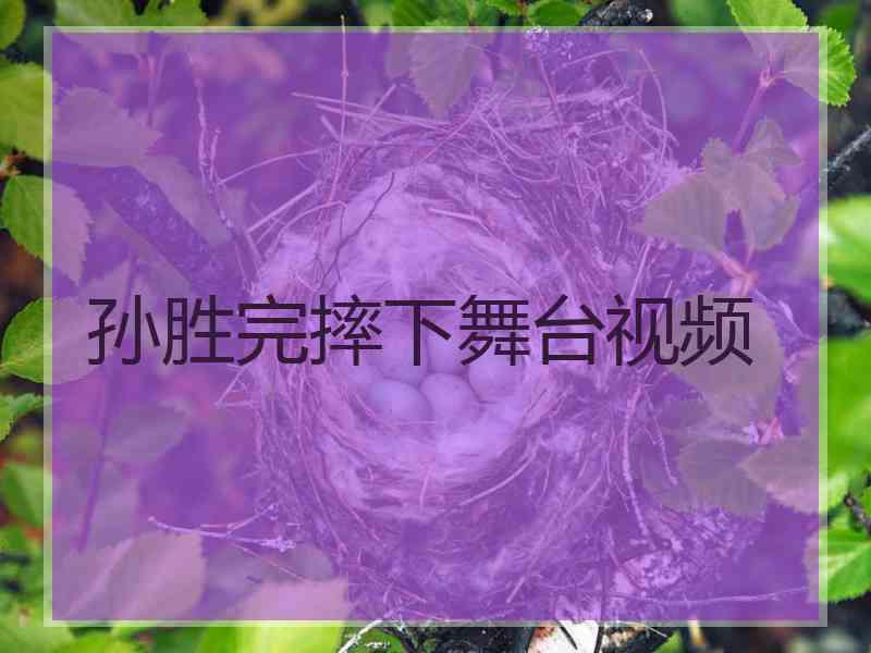 孙胜完摔下舞台视频