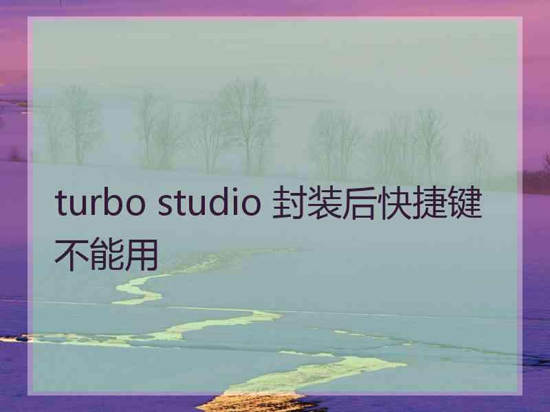 turbo studio 封装后快捷键不能用