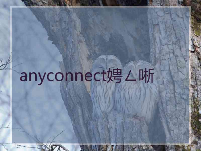 anyconnect娉ㄥ唽