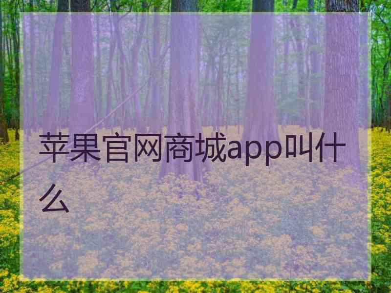 苹果官网商城app叫什么