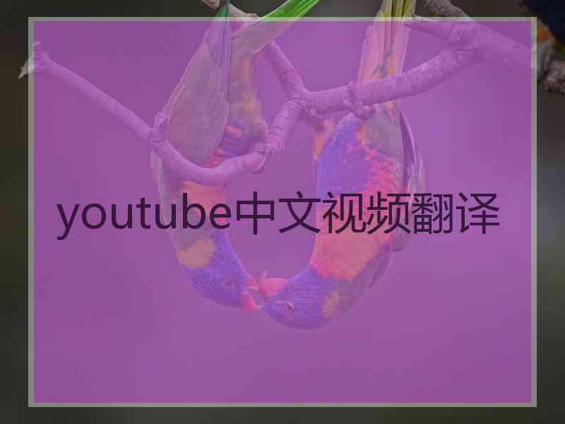 youtube中文视频翻译