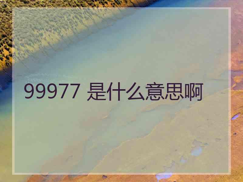 99977 是什么意思啊