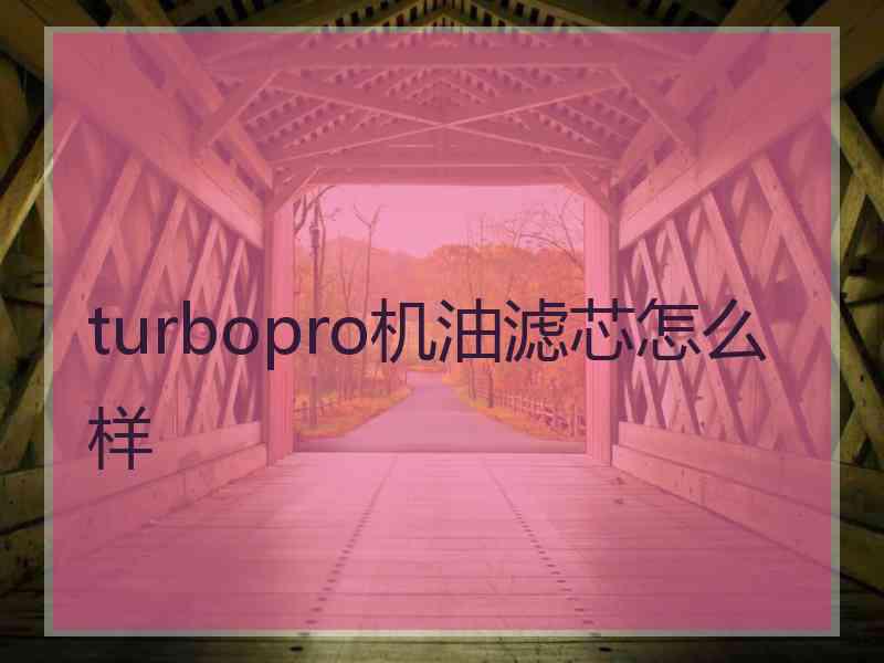 turbopro机油滤芯怎么样