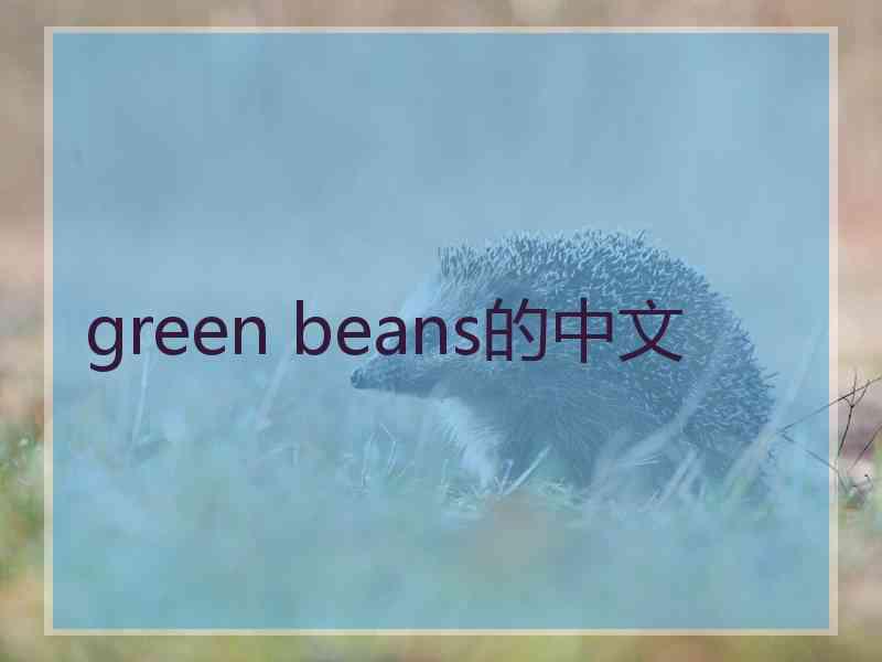 green beans的中文