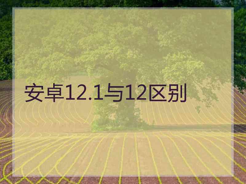 安卓12.1与12区别