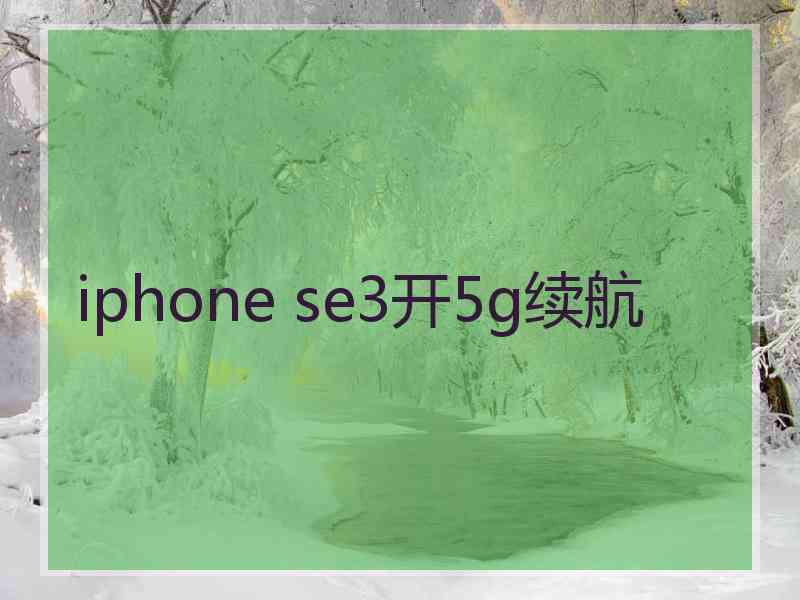 iphone se3开5g续航