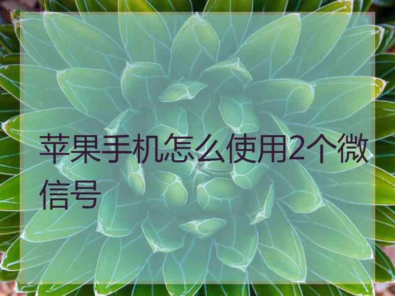 苹果手机怎么使用2个微信号