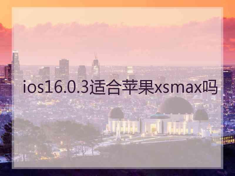 ios16.0.3适合苹果xsmax吗