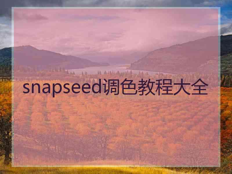 snapseed调色教程大全