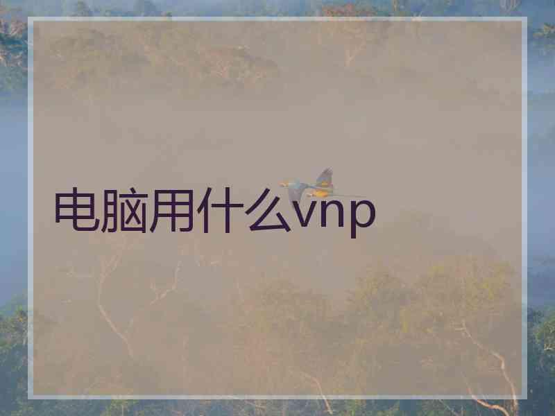 电脑用什么vnp