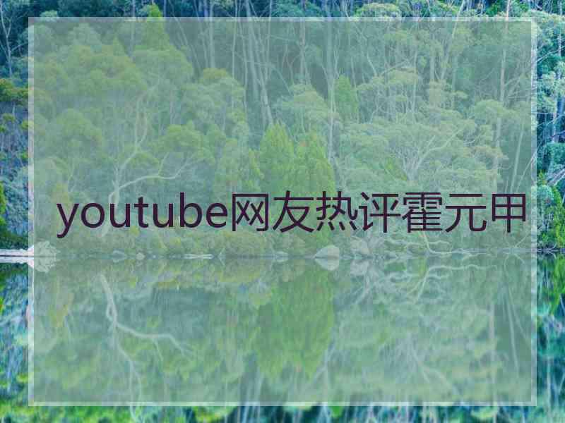 youtube网友热评霍元甲