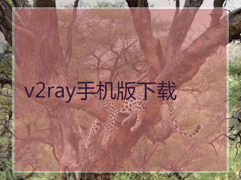 v2ray手机版下载