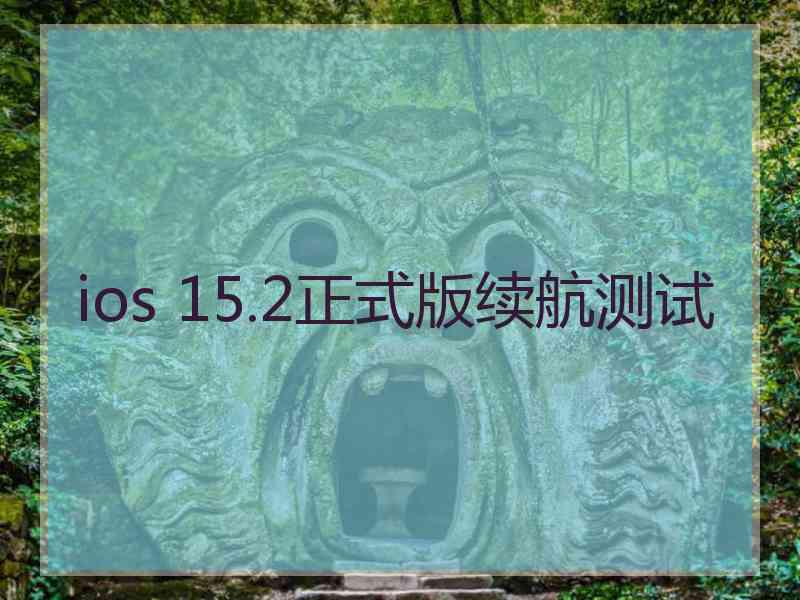 ios 15.2正式版续航测试