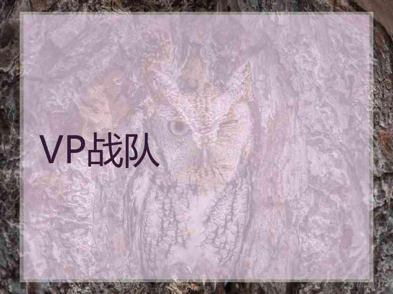 VP战队