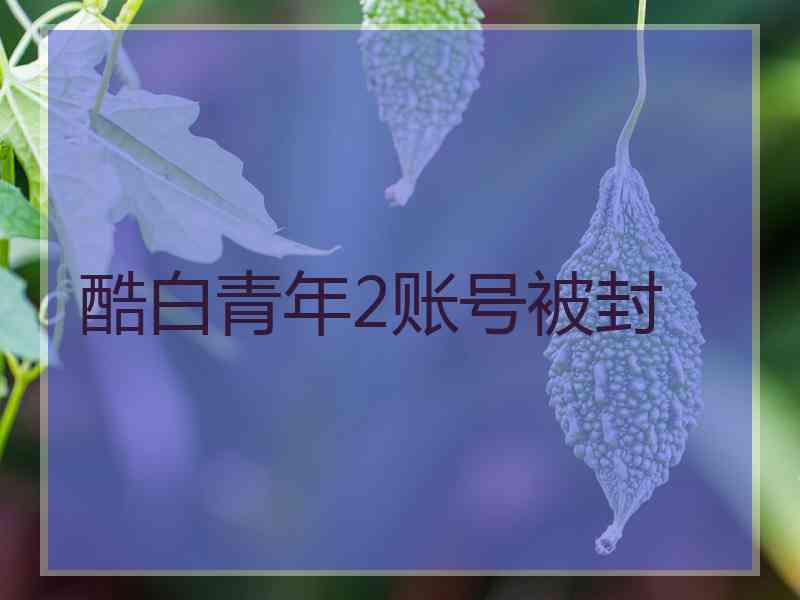 酷白青年2账号被封